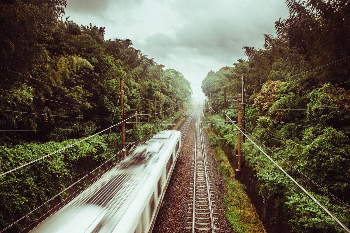 雨の日に京都竹林を通過する列車