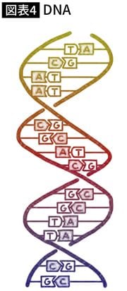 DNA