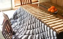 ｢発見された時は下半身の皮膚がタダレて…｣65歳以上はこたつでうっかり寝てはいけない"おそろしい理由"