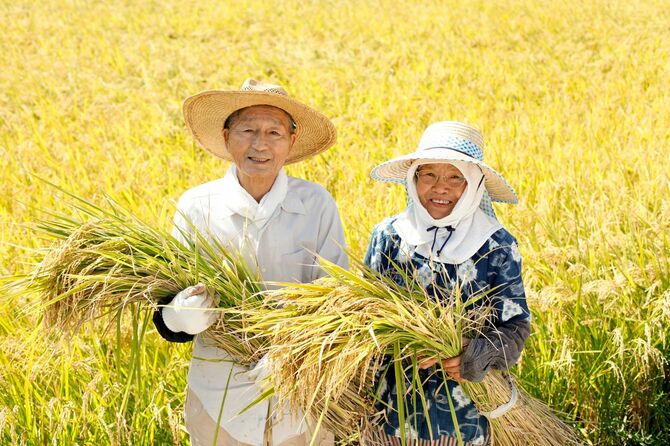 米を収穫した農家の老夫婦