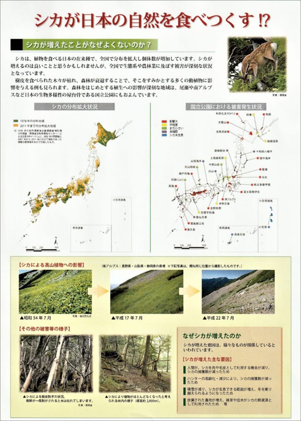 環境省のパンフレット「シカが日本を食べつくす」