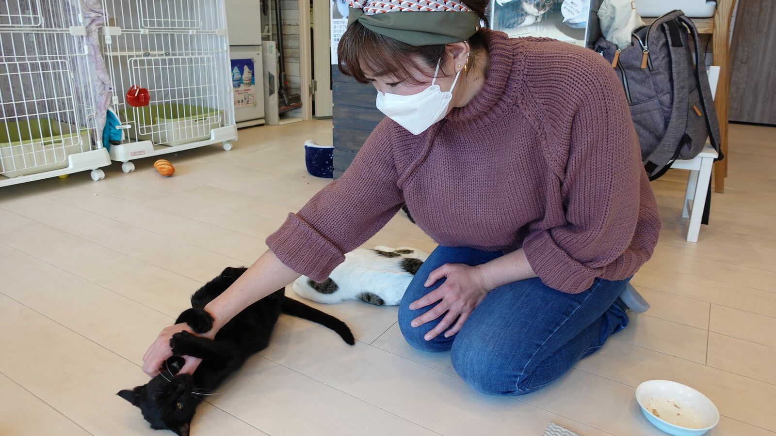 人間の傲慢さの極地…世界遺産･奄美大島の｢猫3000匹殺処分計画｣はなぜ止まらないのか ｢不妊去勢手術｣をした猫まで捕獲