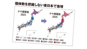 ｢ドングリ不作｣は大間違い…3万件のクマ出没が相次いだ本当の理由