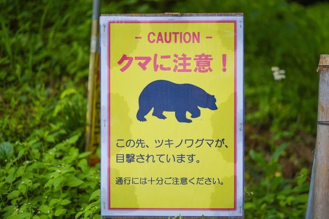 クマに注意