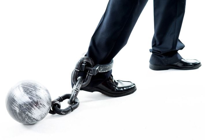 ※写真はイメージです