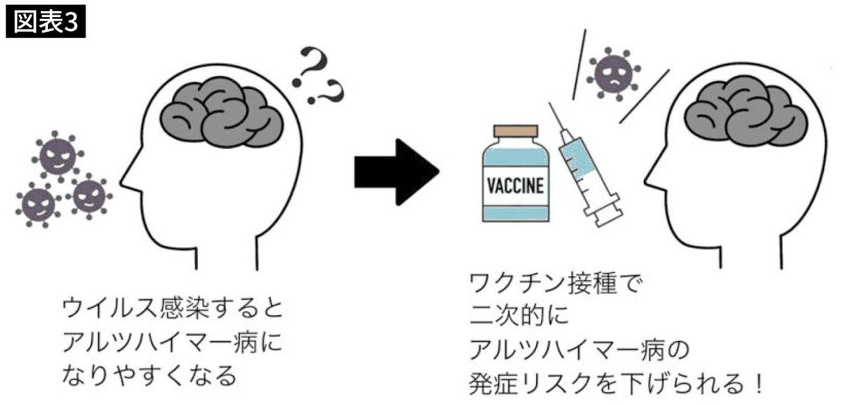 インフルエンザワクチンの摂取がアルツハイマー病の発症リスクを下げるしくみ