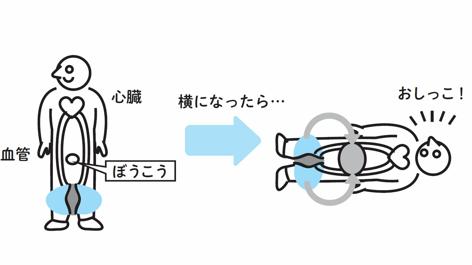 これ1つで睡眠の質が上がり､寝起きの疲労感が消える…エグゼクティブがこっそり着用する意外なアイテム 多くの50代の夜間頻尿が改善