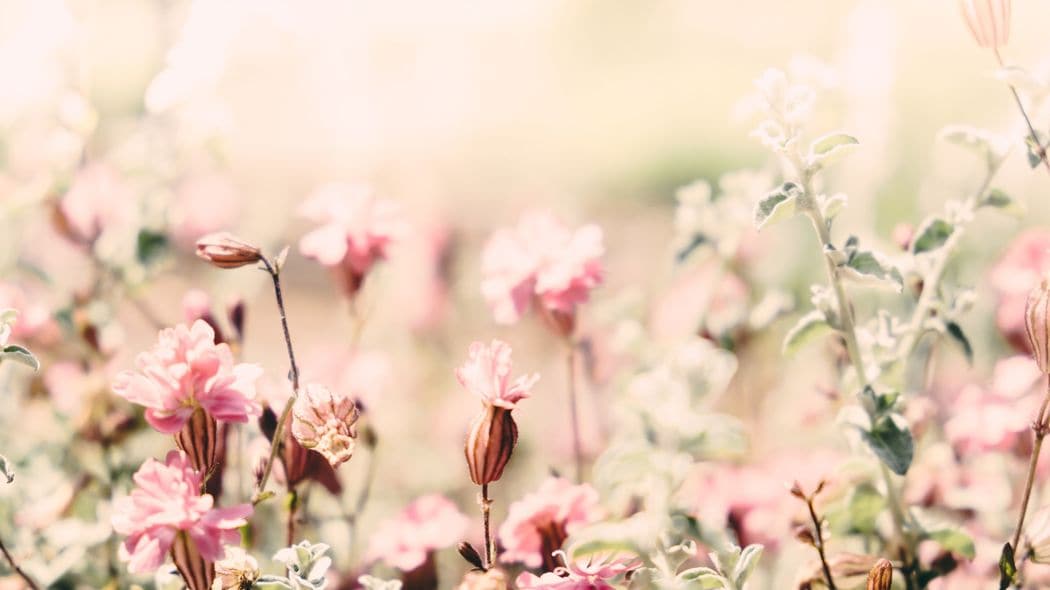 ｢貧しい人ほど最期は安らかで､お金持ちほど死に際に苦しむ｣世界で最も尊敬される緩和ケア医がみた真実 人生の選択肢がなかった人ほど後悔が少ない