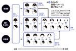 図3：AGAの進行パターンと抜け毛レベル