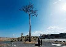 被災地の復興を遅らせているのは、誰なのか？