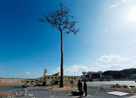 被災地の復興を遅らせているのは、誰なのか？