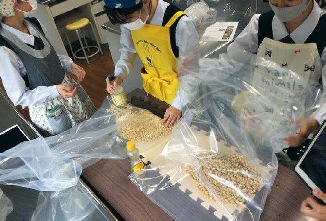 味噌ゼミでは、大豆から味噌を手作りする