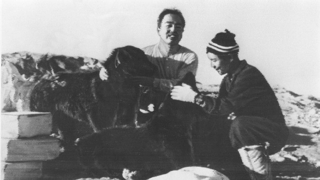 平均零下20度の極寒に15頭置き去りの南極越冬隊…生き残った兄弟犬｢タロとジロ｣奇跡の生還のその後 ほとんどの人が知らない15頭の弔いの話