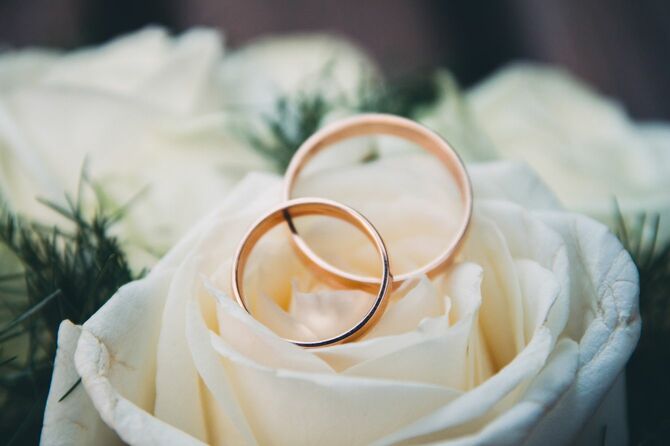 白いバラの上に置かれた一対の結婚指輪
