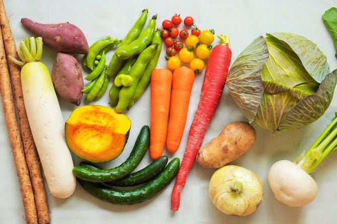 さまざまな野菜