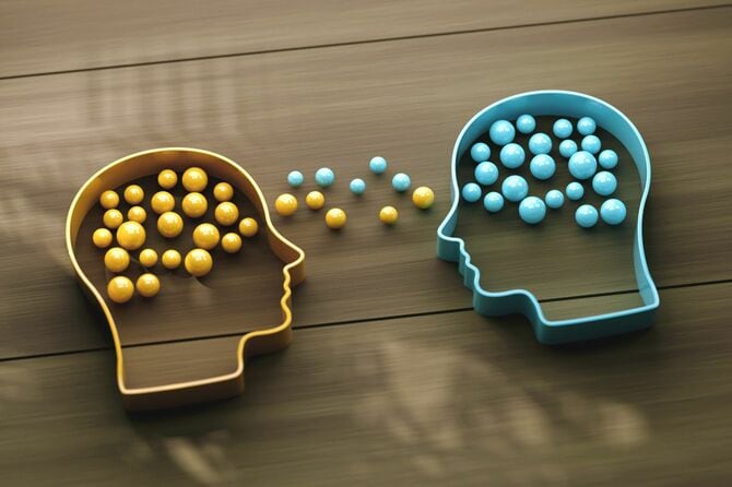 一対の頭の模型の中にあるカラーボールを並べる図