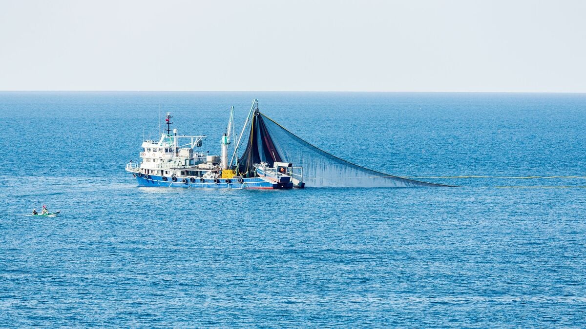 圧倒的物量の中国漁船の進出で日本は一人負け状態…尖閣諸島の領有が