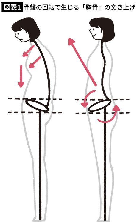 【図表1】骨盤の回転で生じる「胸骨」の突き上げ