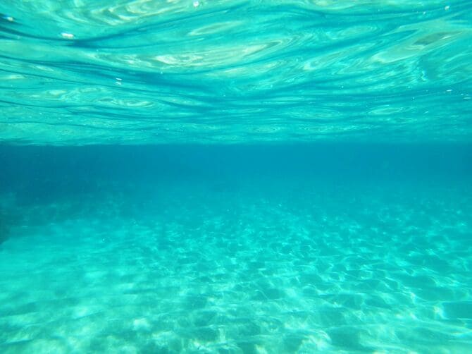 浅瀬の水中、砂には波紋