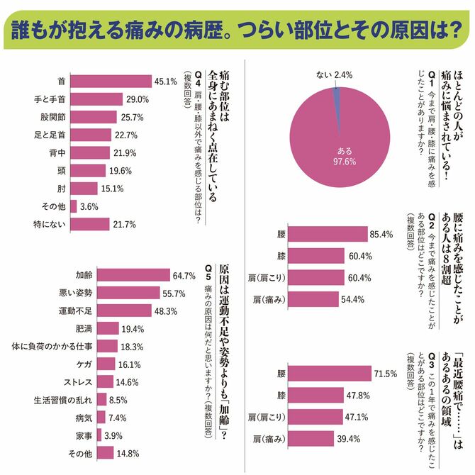 【図表】誰もが抱える痛みの病歴。つらい部位とその原因は?