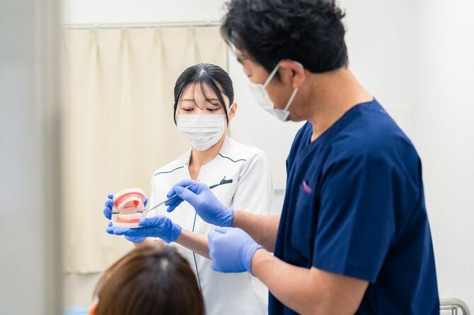 歯の模型を使って歯科治療を説明する歯科医