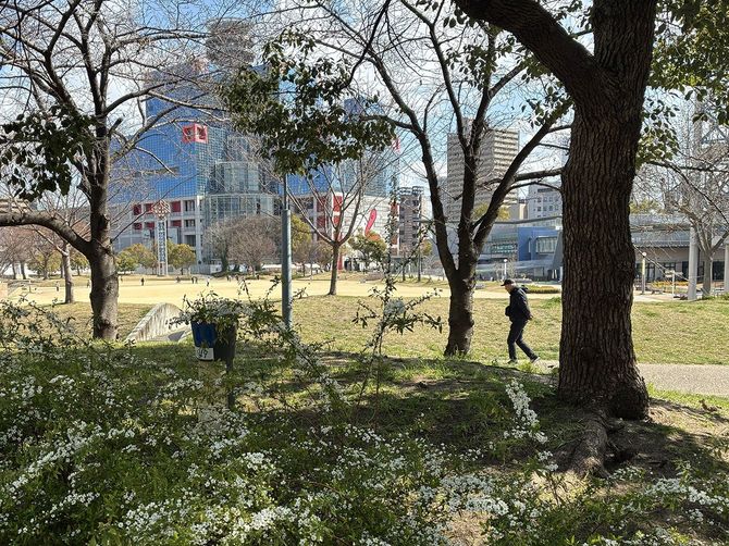 乳児の遺体遺棄事件があった扇町公園