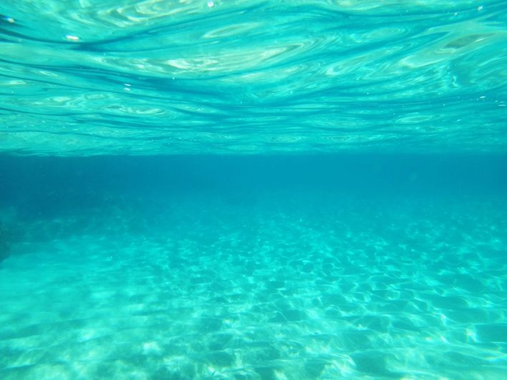 ※写真はイメージです