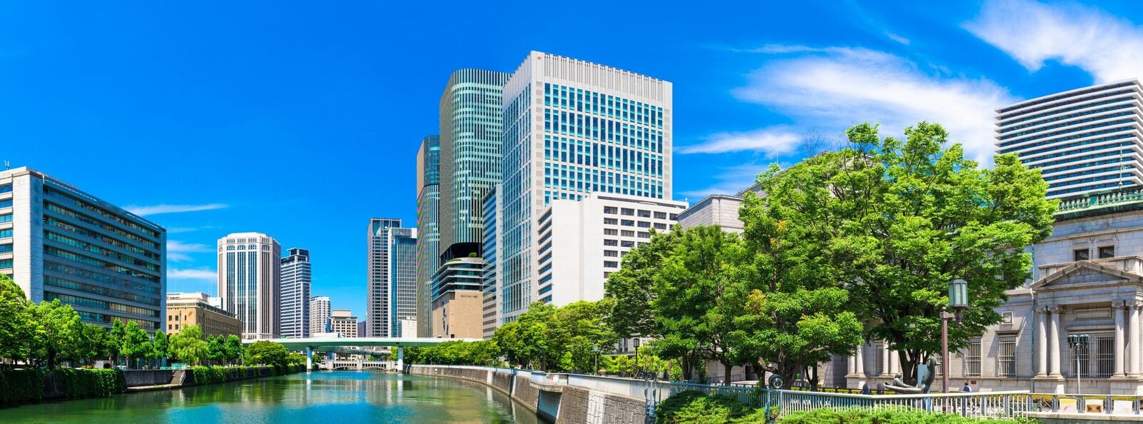 シン・関西特集