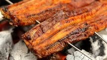 絶滅危惧種｢ウナギ｣は食べないほうがいいのか