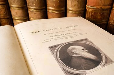 いいものが売れる｣はただの思い込み…世界最高のビジネス書は