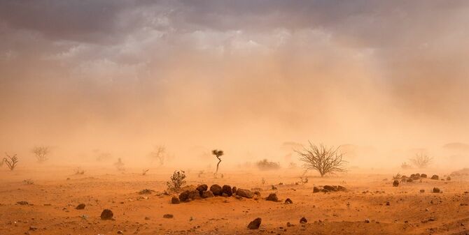 ソマリアの埃っぽい景色