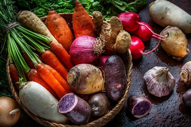 新鮮な有機根菜