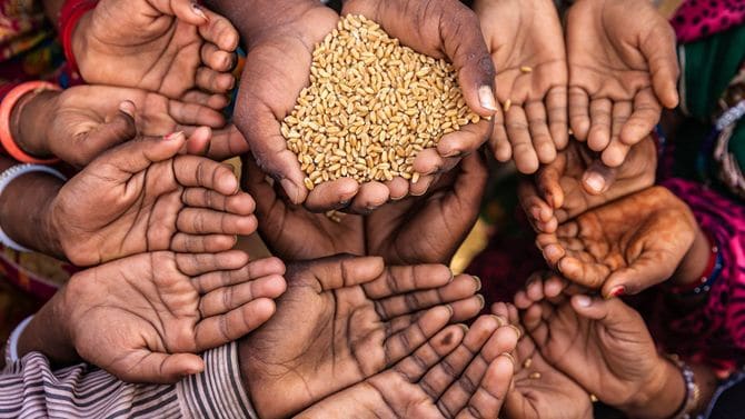食べ物を欲しがるインドの子供たちの手
