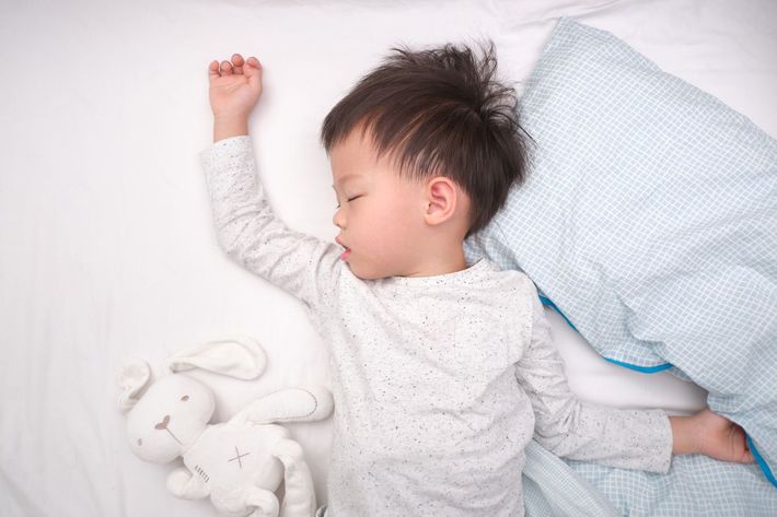 ※写真はイメージです