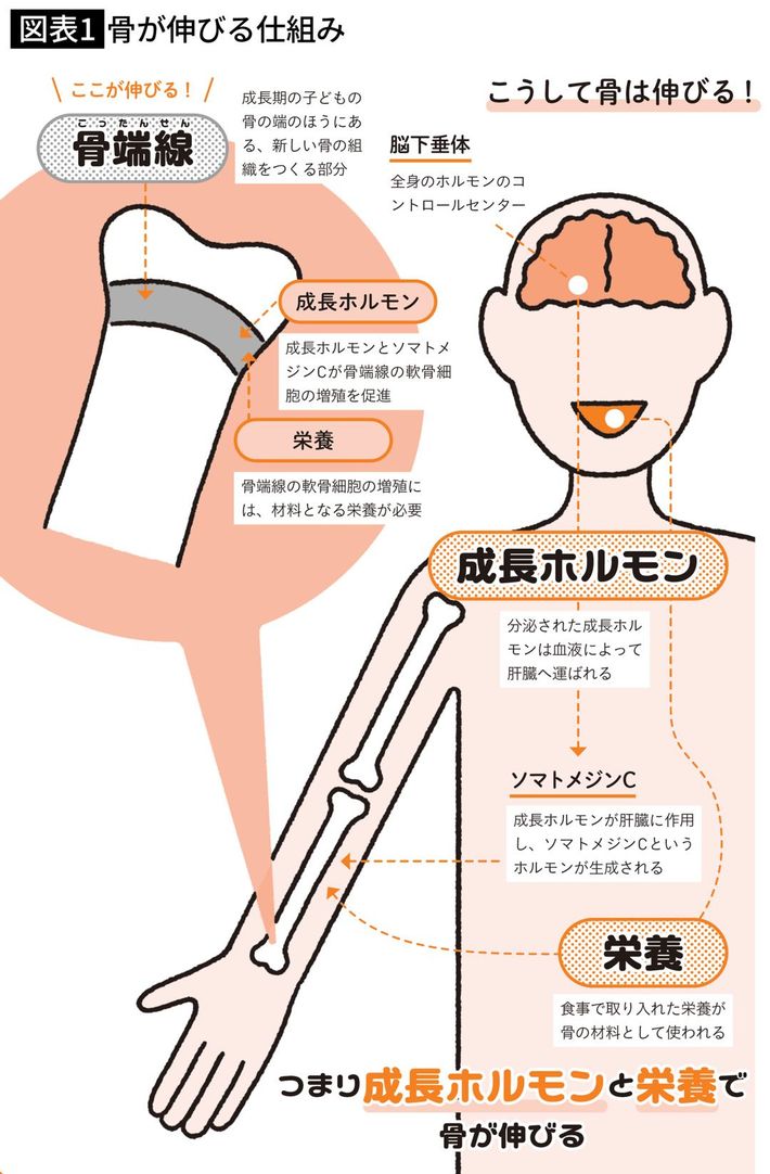 出所＝『<a href="https://www.amazon.co.jp/exec/obidos/ASIN/4058024747/ref=nosim?tag=f-pol-22" target="_blank">身長先生式 子どもの身長が伸びる食事のルール30</a>』（イラスト：かざまりさ）