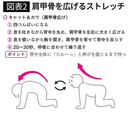 【図表2】肩甲骨を広げるストレッチ