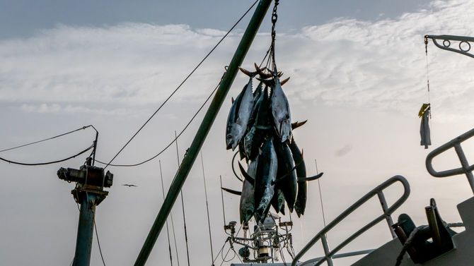 和歌山の漁港、2018年