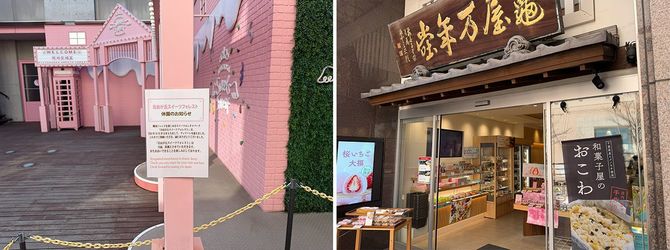 左　自由が丘スイーツフォレスト、右　亀屋万年堂