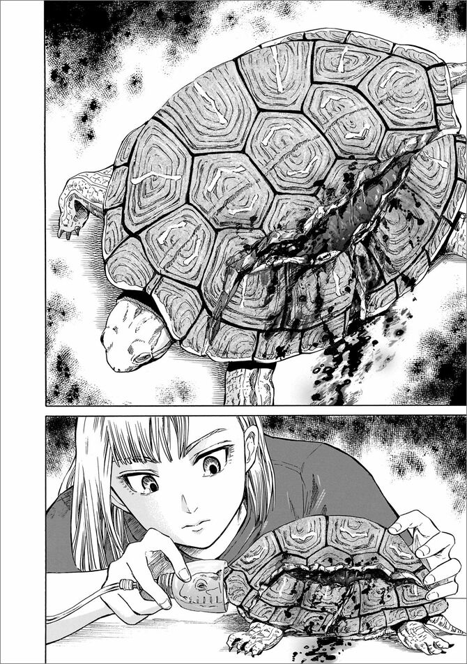 『珍獣のお医者さん』©二宮香乃／KADOKAWA