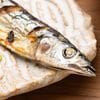 サンマでもサケでもない…おいしくて安くて栄養価の高い"北海道で激増している魚の種類"【2026年3月BEST】