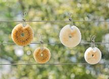 あの亀の子が"白いタワシ"に挑戦した理由