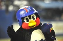 ｢みたことのないすばらしいけしきを､いっしょにみにいきましょう｣つば九郎が教えてくれた大切なこと