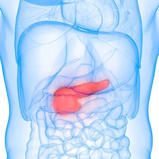 発見が最も難しい 暗黒の臓器 すい臓がんを劇的に見つけやすくする あの飲み物 なんと5年生存率が30 50 President Online プレジデントオンライン