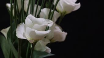 介護しなかった弟の妻が94歳母にコソコソ遺言書を書かせ財産を“横領”…粉骨砕身の71歳姉が泣き寝入りの訳