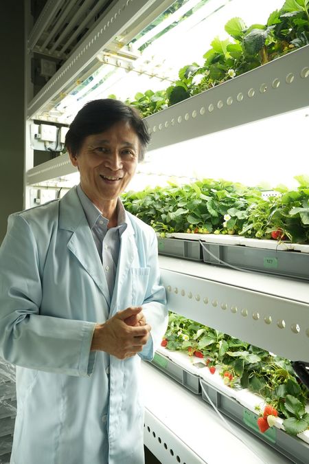 真っ赤なイチゴと後藤英司教授