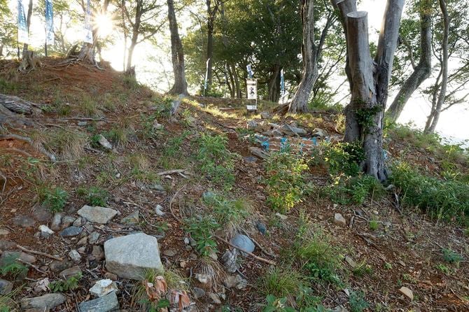 本丸東虎口を外から