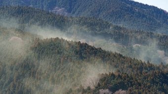 もっとも大事なのは飲み薬でも目薬でもない…耳鼻科専門医が｢真っ先に試して｣という最強の花粉症対策