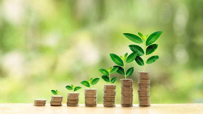 コインが右肩上がりに増える