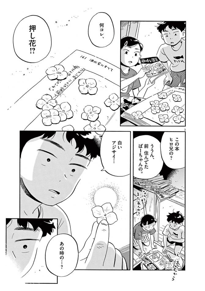 『ひらやすみ』c真造圭伍/小学館