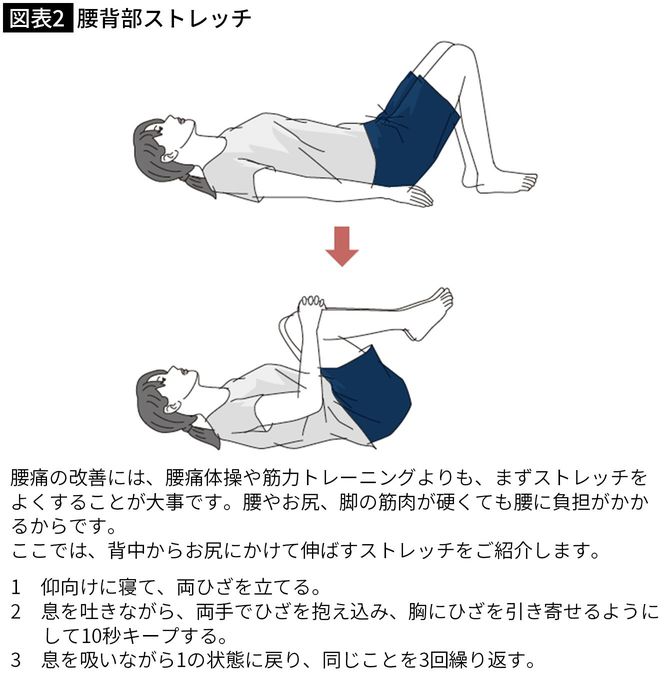 腰背部ストレッチ